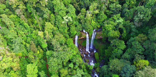 Rappelling en Cataratas Diamante Verde Photo