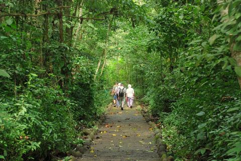 Carara National Park & Bird Watching Photo