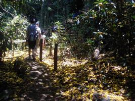 Carara National Park (from Manuel Antonio)  Photo