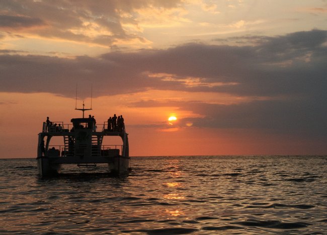 Catamaran Cruise and Snorkeling Photo