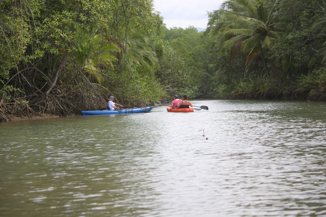 Kayaking en Manglares Photo