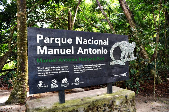 Manuel Antonio National Park Guided Tour Photo