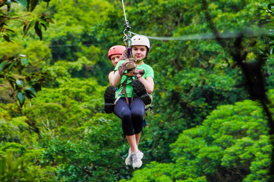 Canopy and Suspension Bridges Guided Tour (Gold Pack Plus) Photo