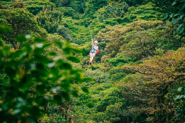 Selvatura Zip Lines, Suspension Bridges & Sloth Sanctuary Photo