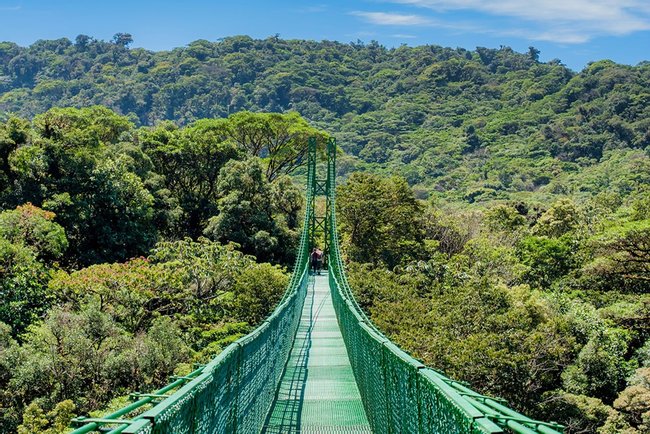 Suspension Bridges Guided Tour Photo