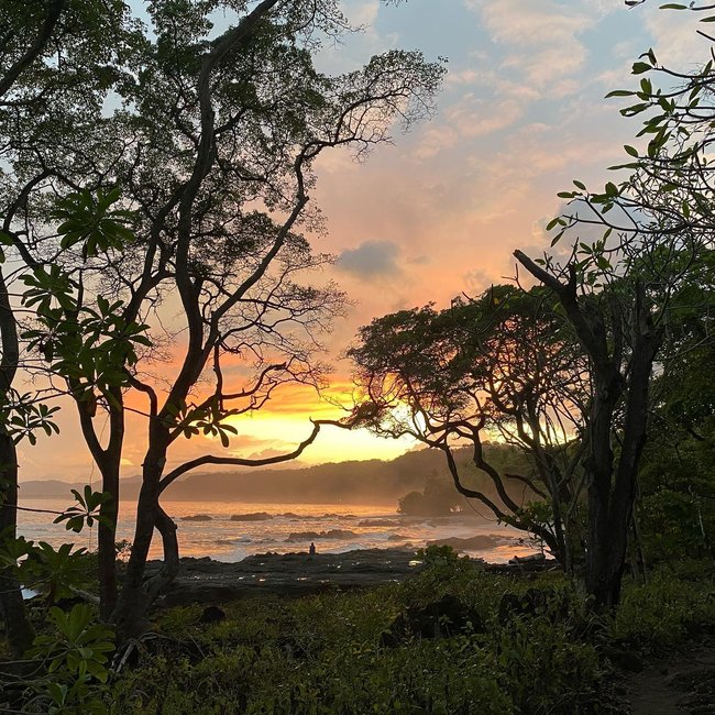 Montezuma Surf Lessons Photo