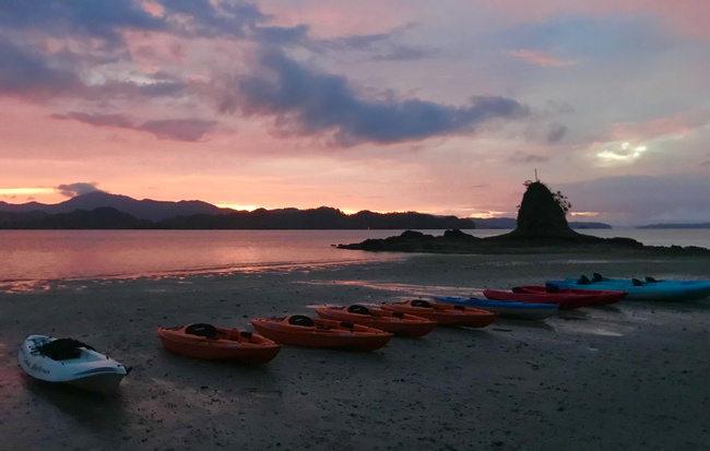 Bioluminescent Kayak Tour Photo