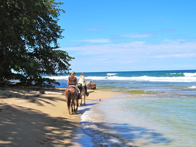 Tour de Cabalgata por la Playa y la Jungla Photo