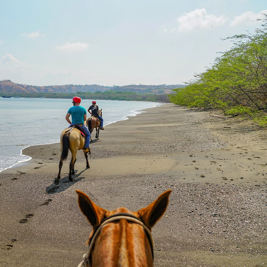 Forest and Beach Horseback Riding Photo