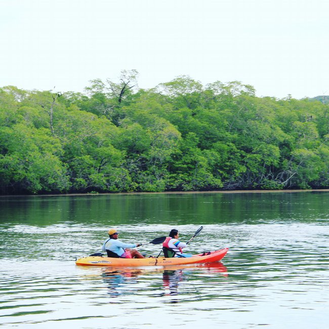 Flamingo Ocean Kayaking  Photo