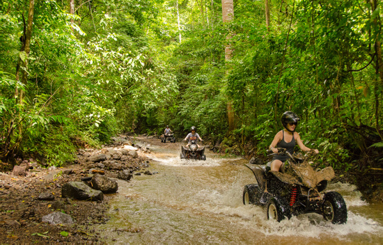 ATV Jungle Adventure Photo