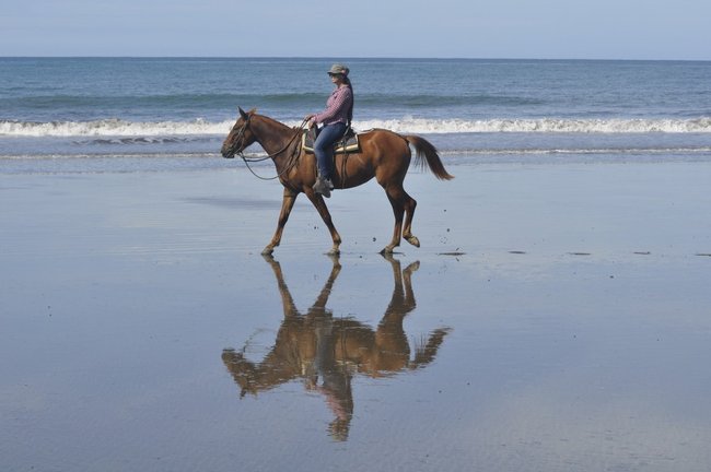 Cabalgata en Hacienda Arío  Photo