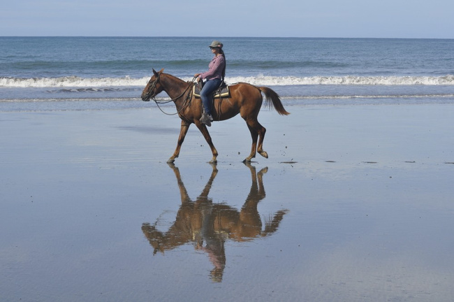 Cabalgata en Hacienda Arío  Photo