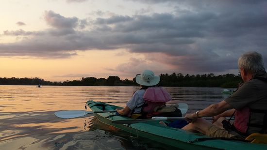 Bioluminescence Kayaking Tour Photo