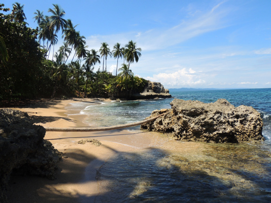 Gandoca Manzanillo Refuge Jungle Hike Photo