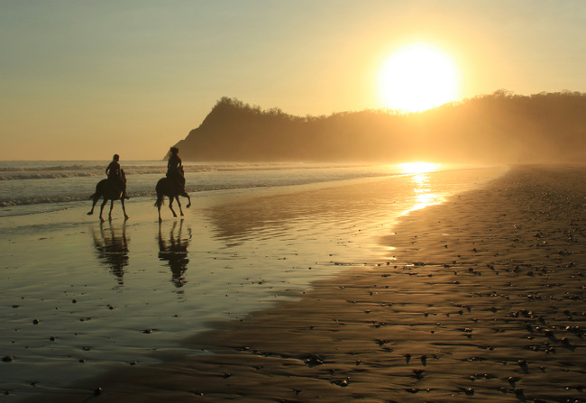 Jungle and Barigona Beach Horseback Riding Tour Photo