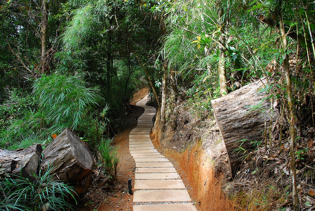 San Gerardo Bird Watching Tour Photo