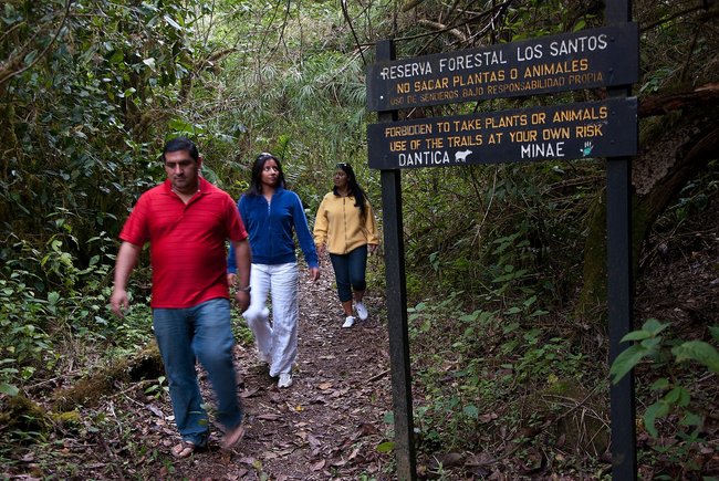 San Gerardo Bird Watching Tour Photo