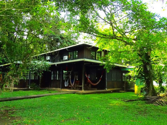 Estación Biológica La Selva Photo