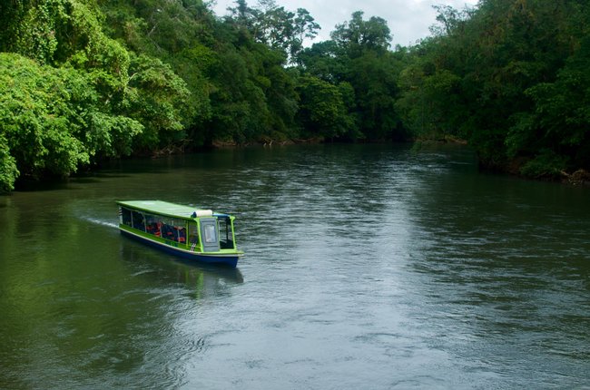 Sarapiqui River Safari Guided Tour Photo