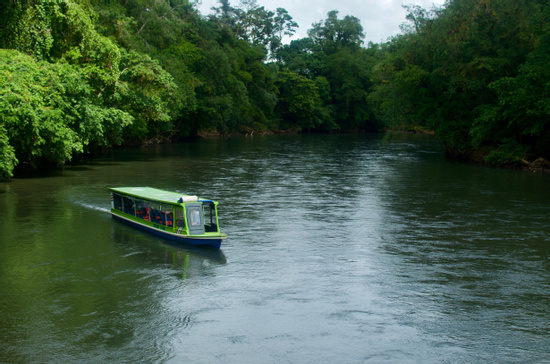 Sarapiqui River Safari Photo