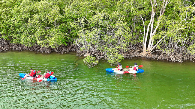 Mangrove Kayaking Tamarindo Photo