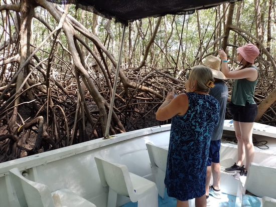 Tamarindo Estuary Boat Tour Photo