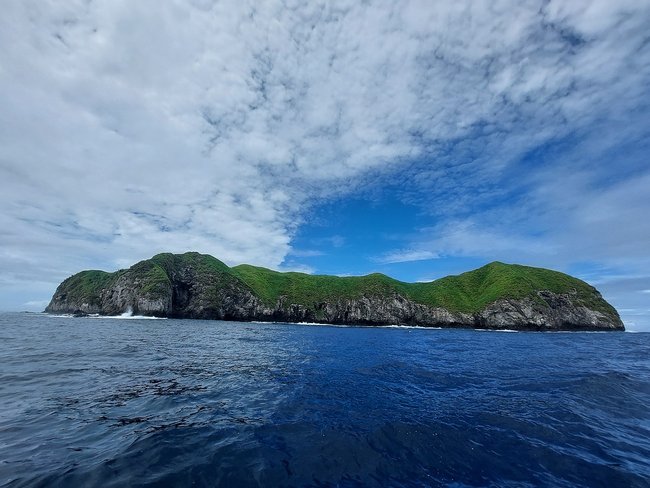 Try Scuba Diving at Catalina´s Island Photo