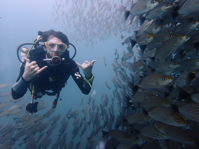 Tour de buceo en Las Islas Catalinas
 Photo