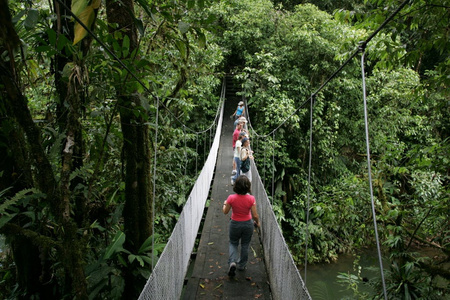 Costa Rica Hiking Tours Image