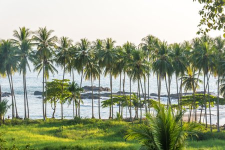 Playa Hermosa Guanacaste, Costa Rica - 2024 Travel Guide