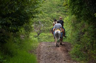 From Cloud Forests to Beaches