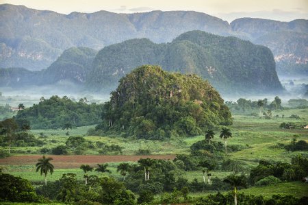 Viñales National Park Image