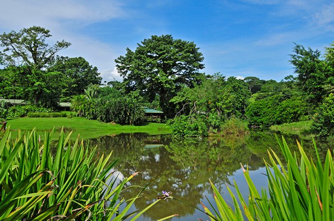 Costa Rica Image