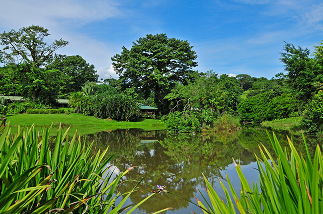 Costa Rica Image