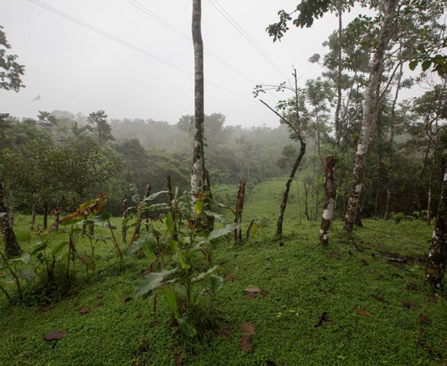 Costa Rica Image