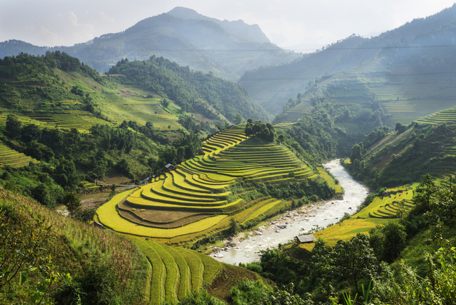 Vietnam Image