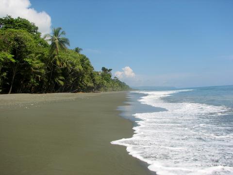 Carate, South Pacific - Costa Rica 2023 Travel Guide | Anywhere