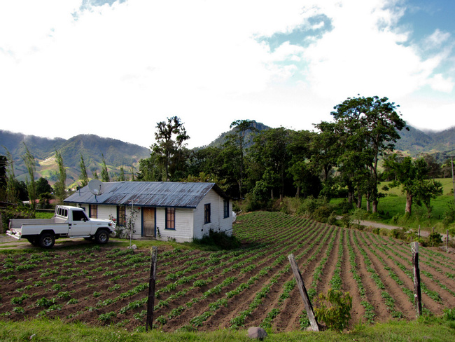 Panama Image