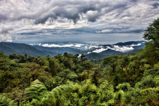 Ecuador Image