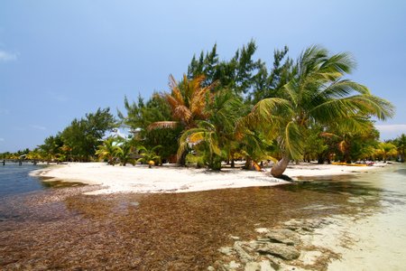 Glover's Reef Atoll Image