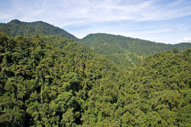 Ecuador Image