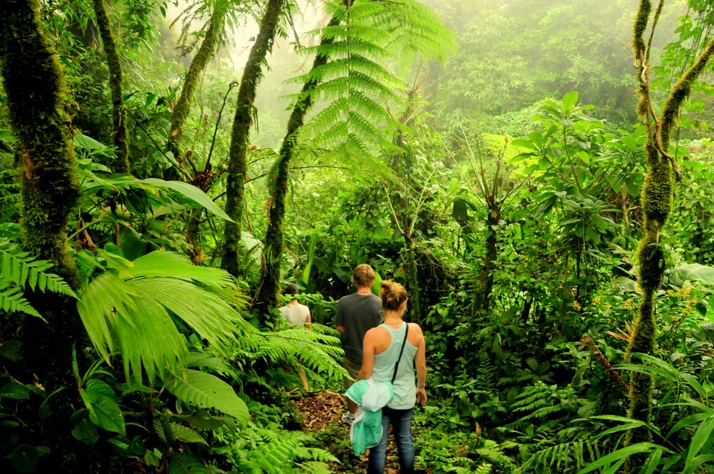 An Outdoor Adventure Awaits You in Monteverde