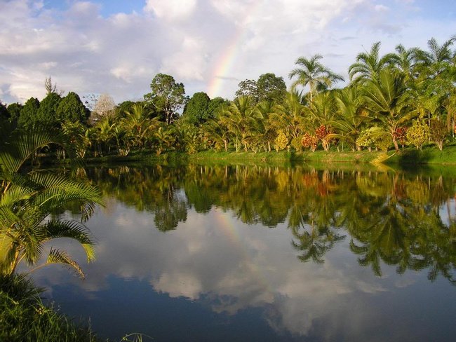 Peru Image