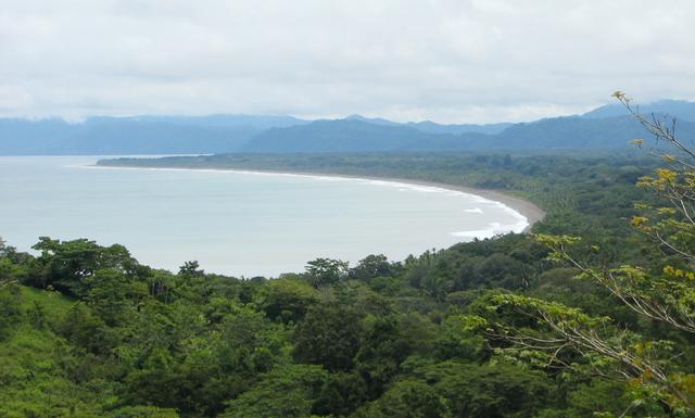 Pavones, South Pacific - Costa Rica 2023 Travel Guide | Anywhere