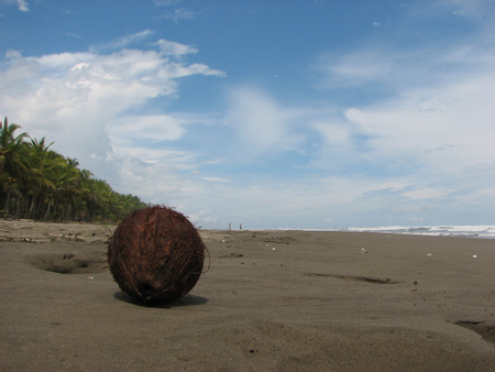 Playa Bejuco - Destination Photo