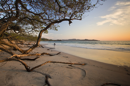 Playa Flamingo Image