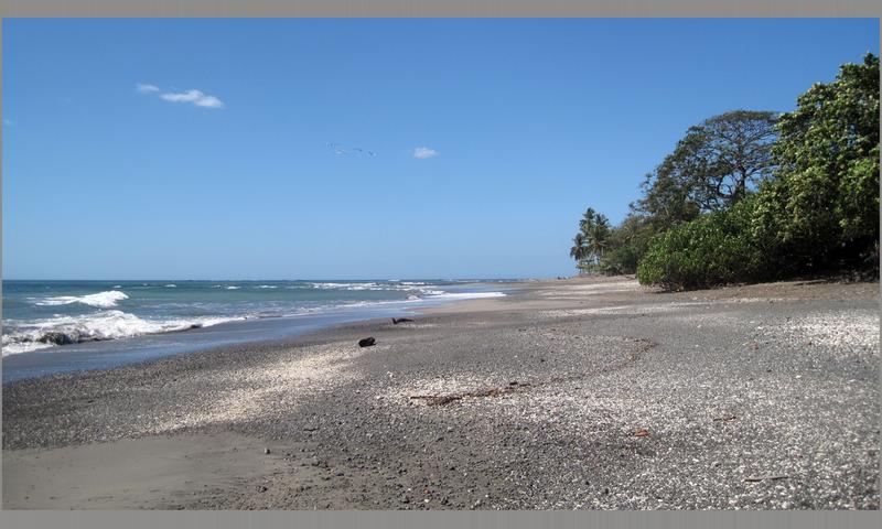 Playa Lagarto