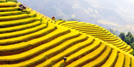 Sapa  - Destination Photo