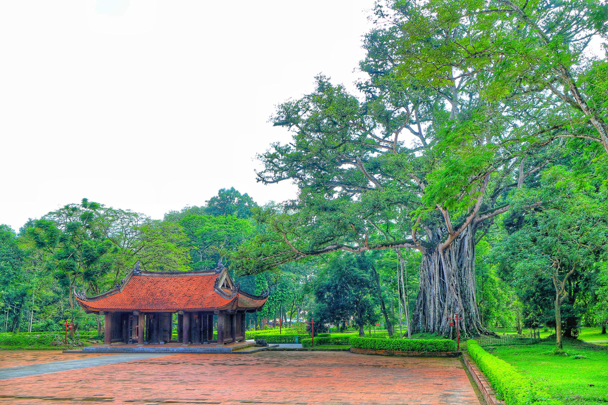 Thanh Hoa Beaches